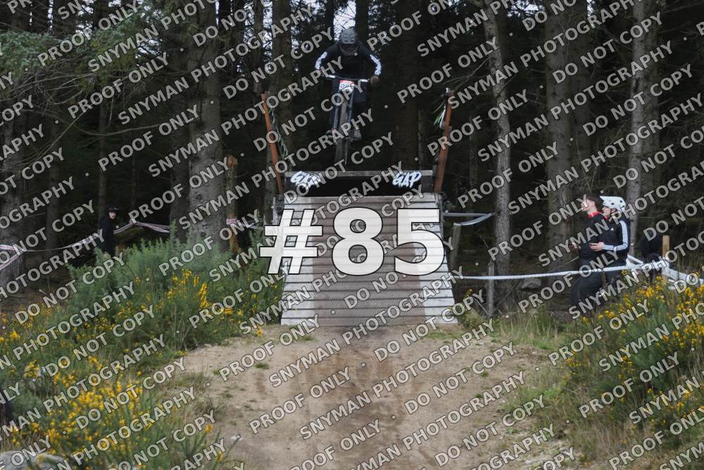 85 (2)