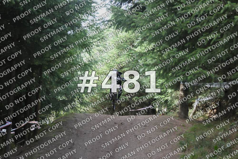 481