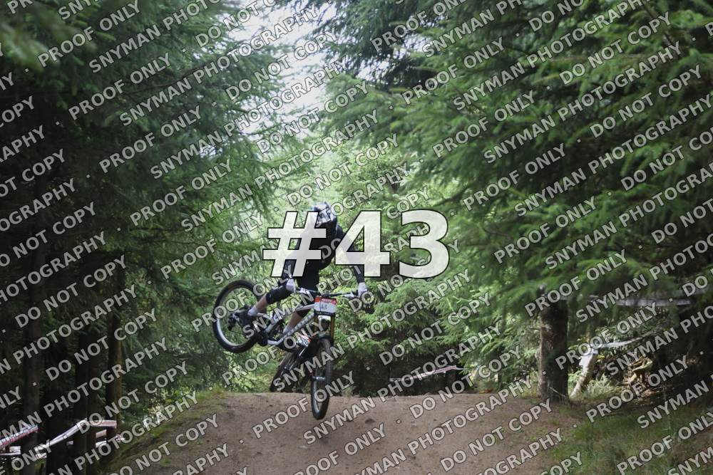 43 (3)