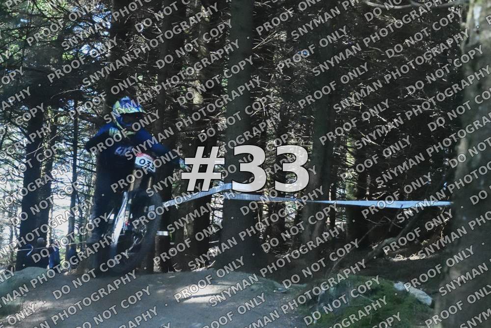 33