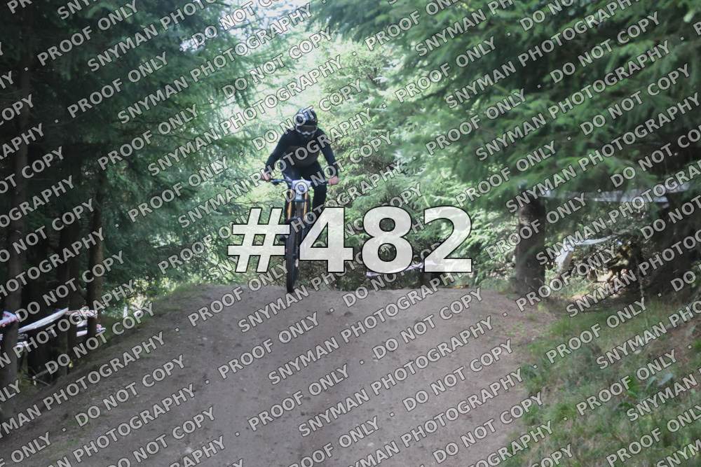 482 (3)