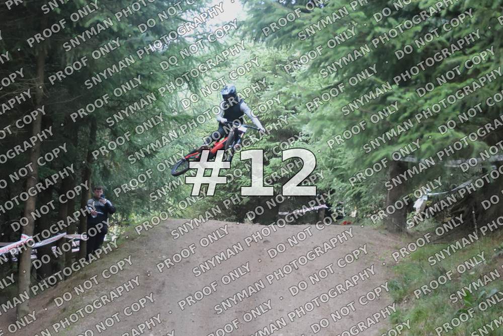 12 (2)