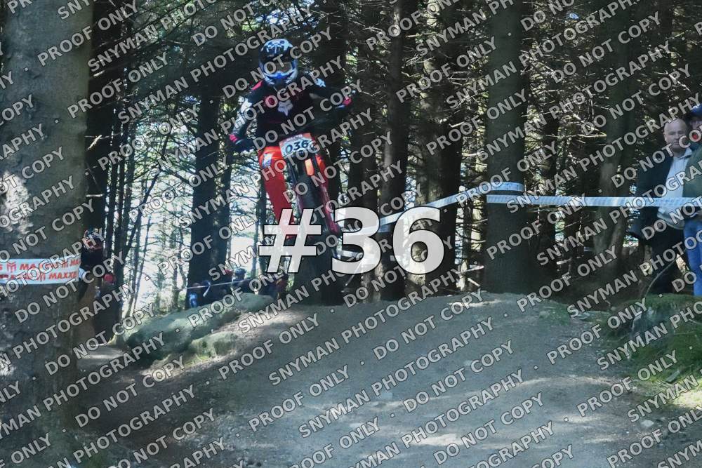 36
