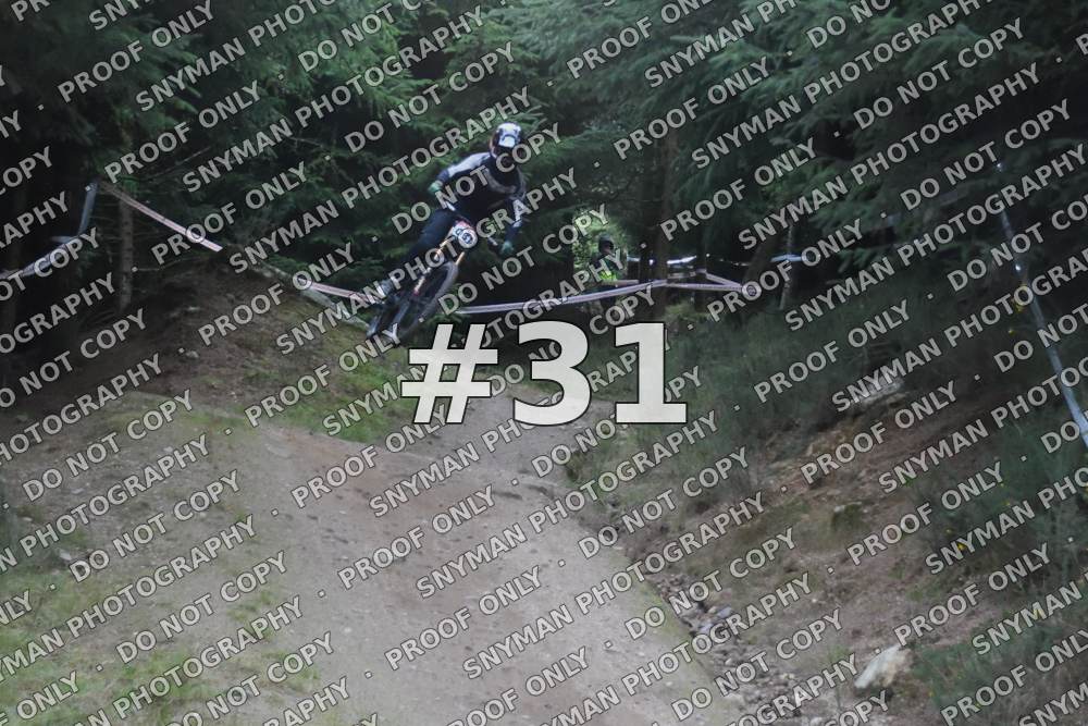 31 (3)