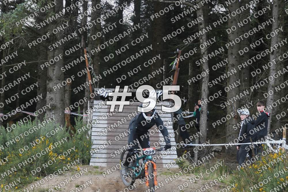 95 (1)
