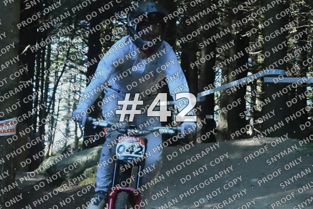 42