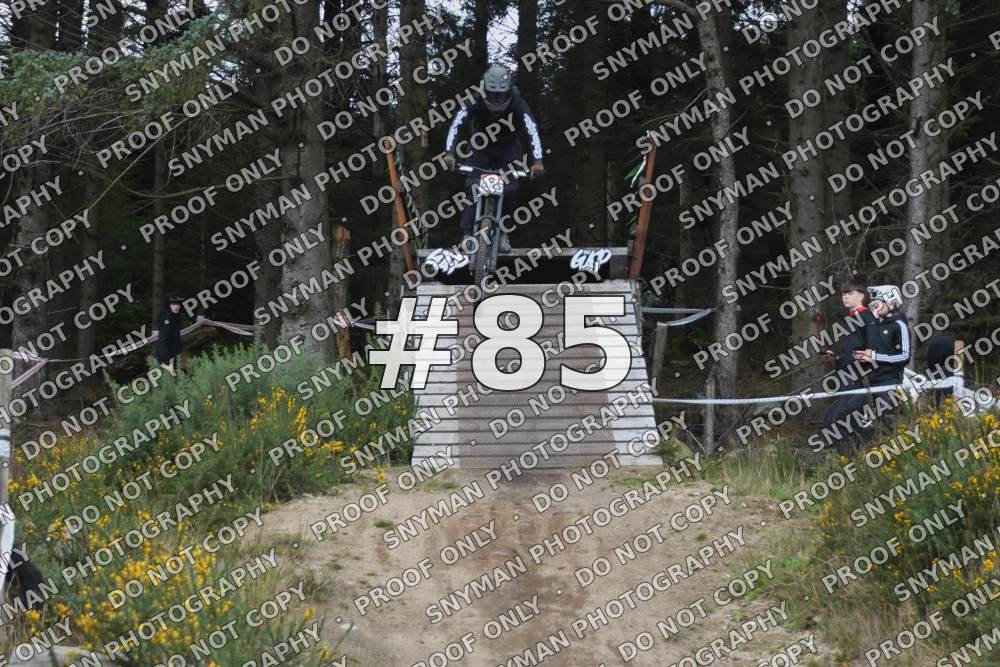 85 (4)