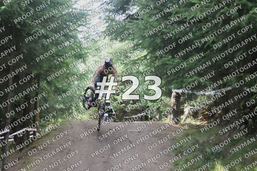 23 (3)
