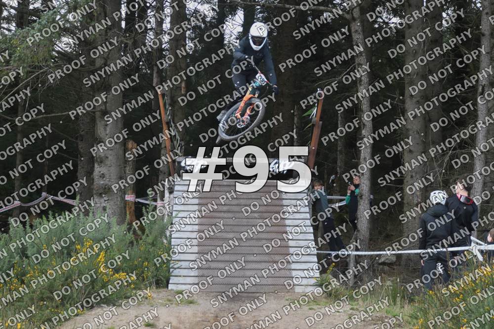 95 (3)