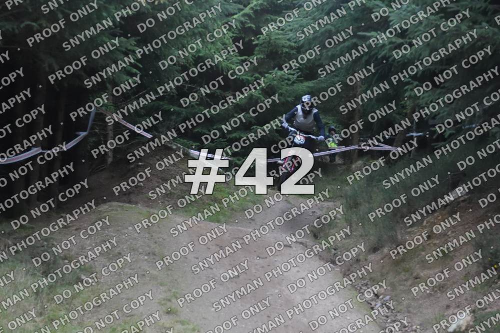 42 (2)