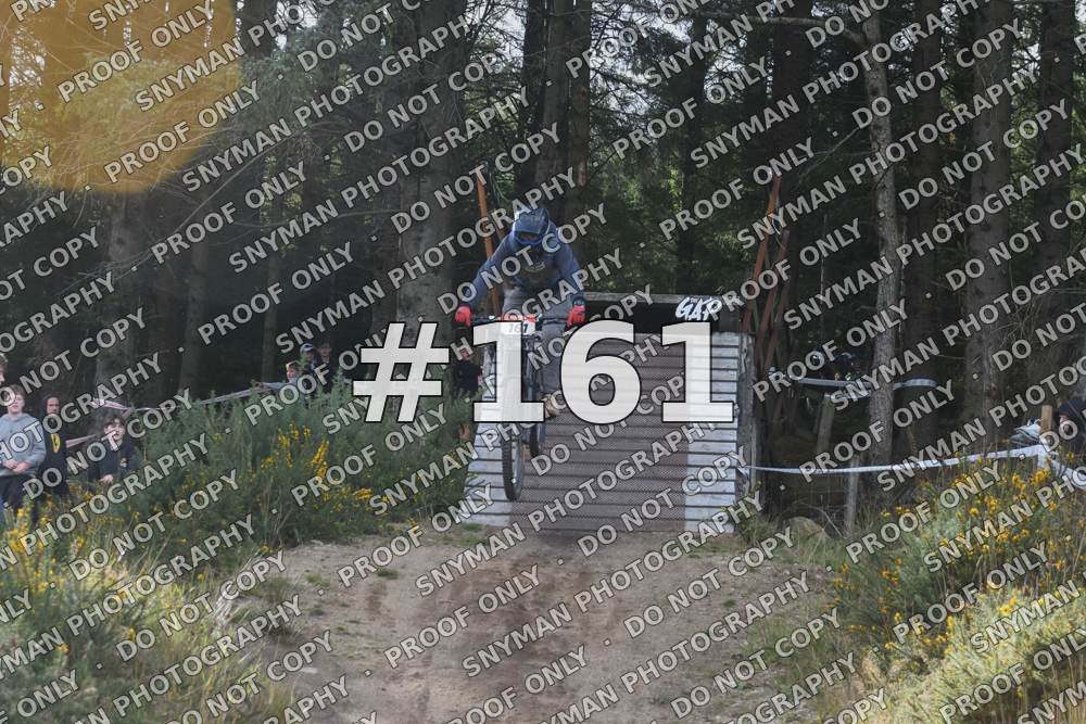 161 (3)