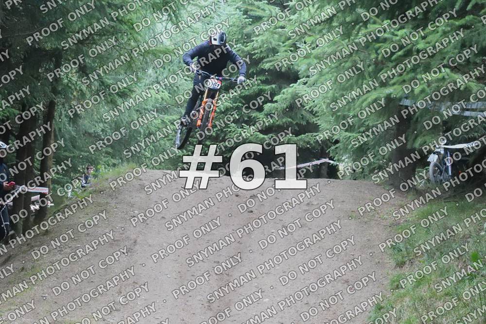 61