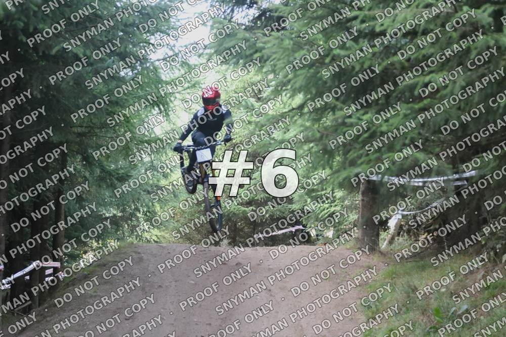 6 (4)