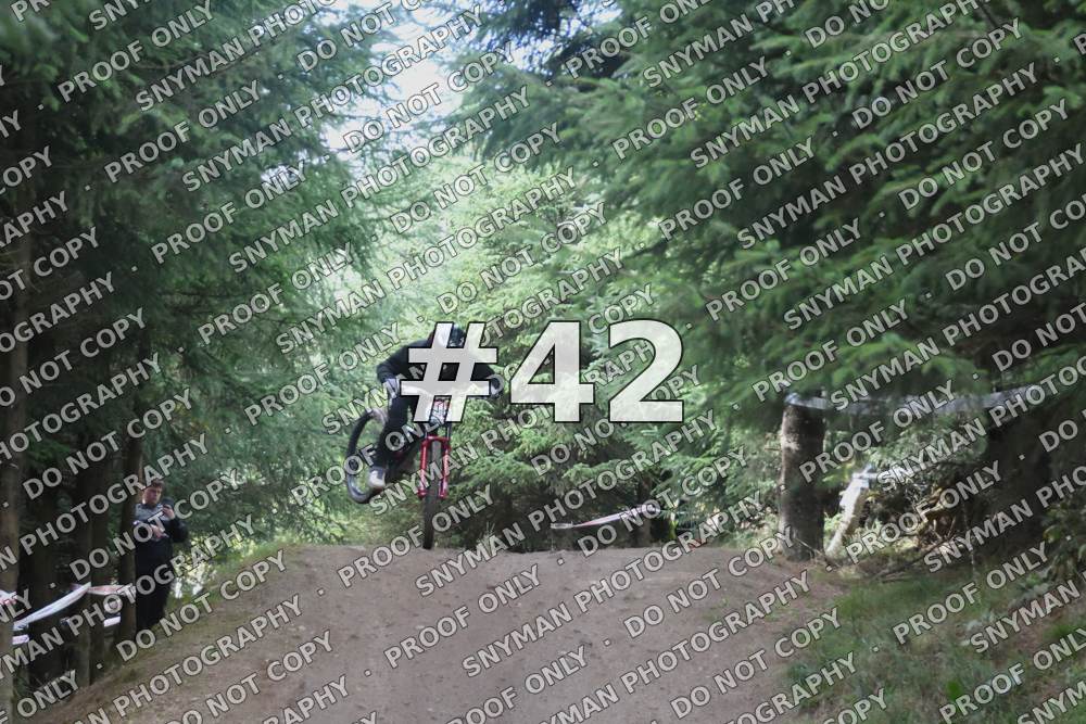 42 (4)