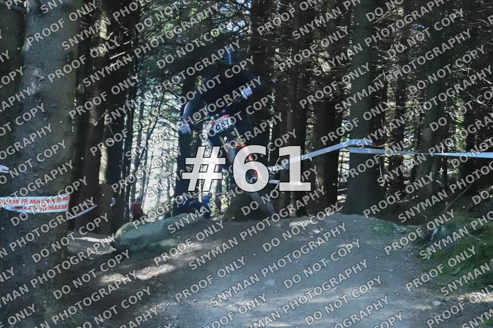 61.