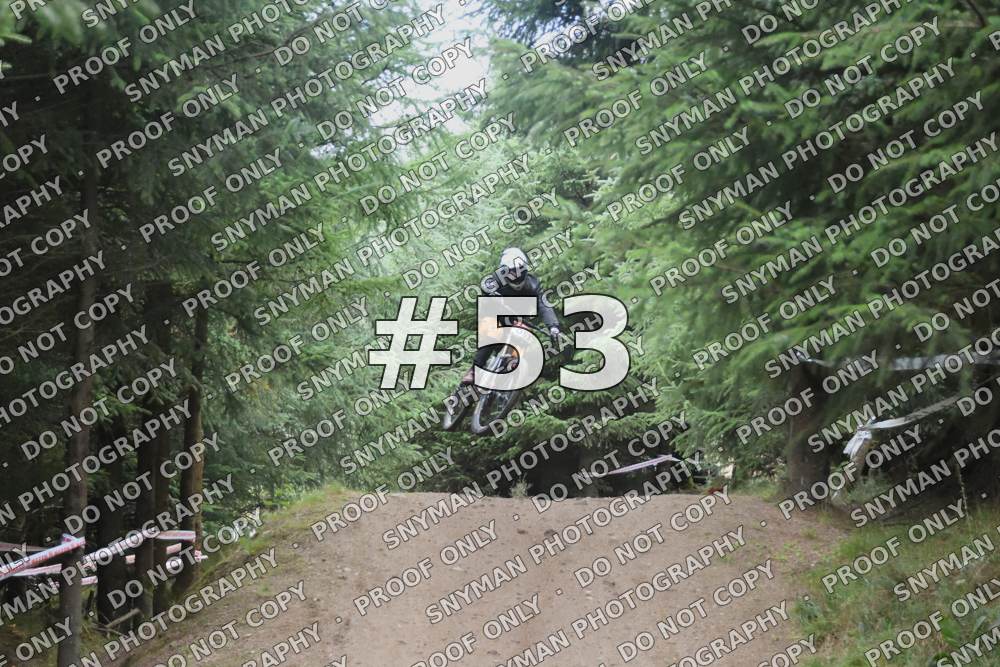 53 (2)