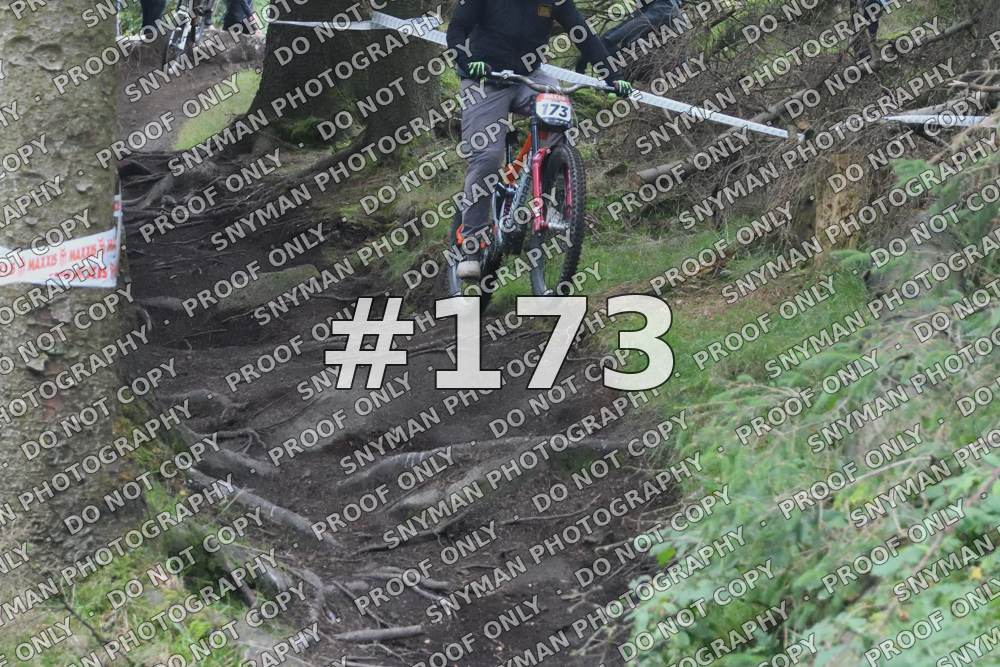 173 (1)