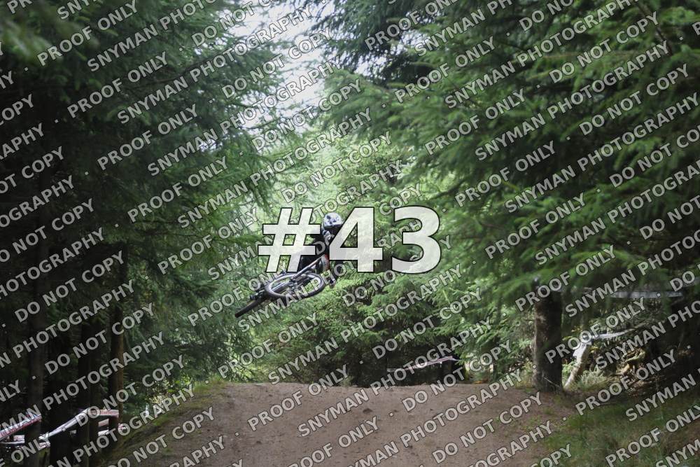43 (1)