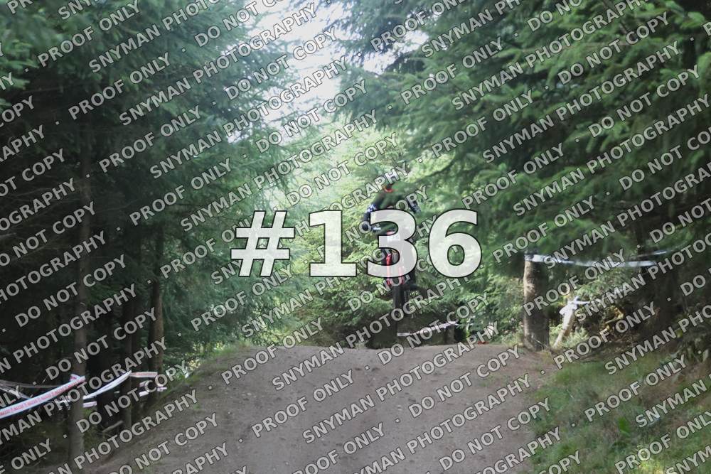 136 (3)