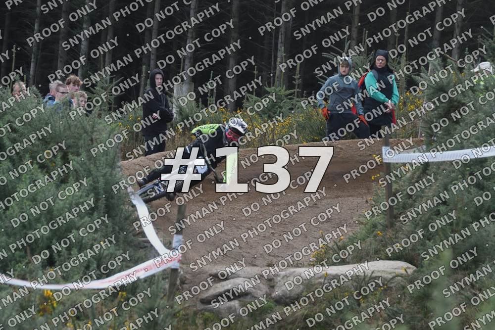137 (3)
