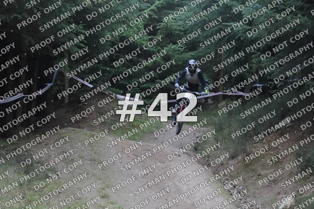 42 (3)