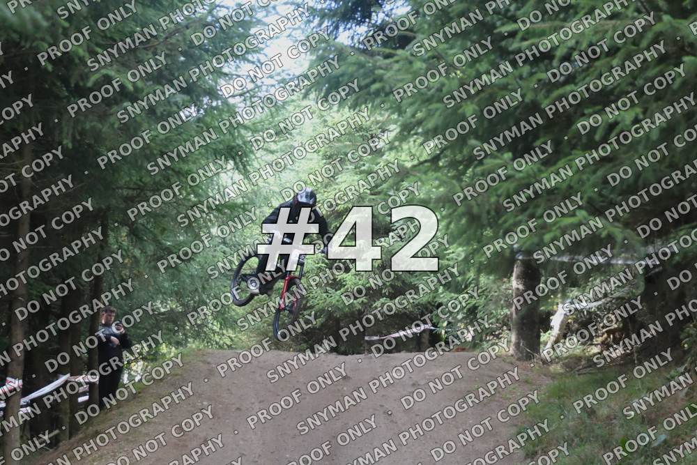 42 (6)