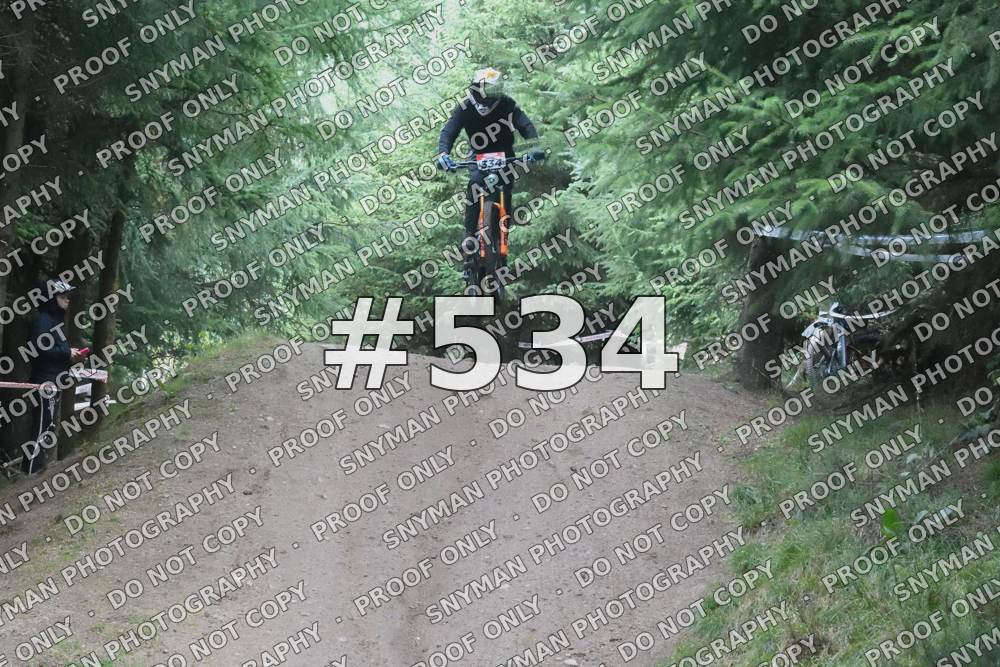 534 (1)
