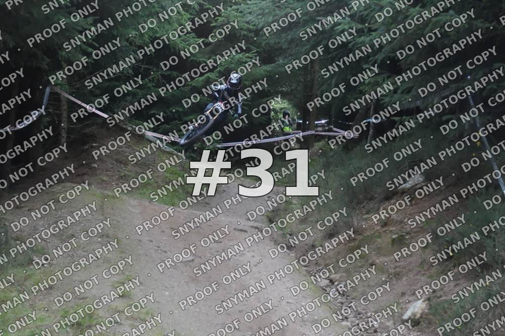 31 (2)