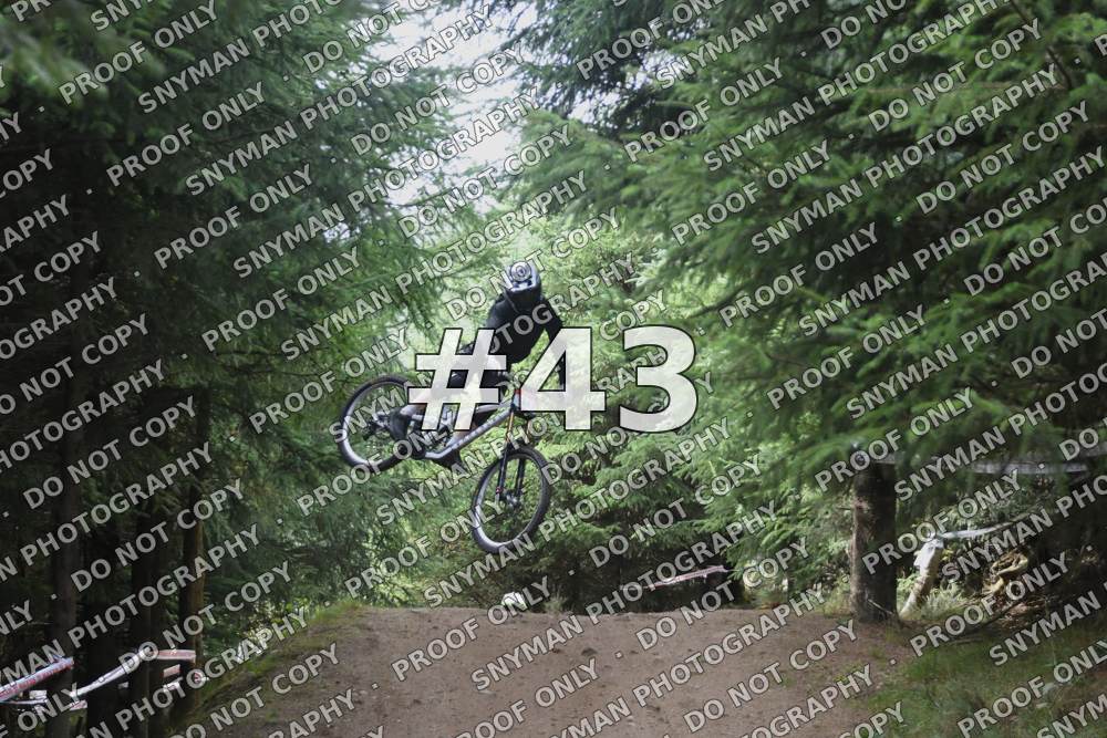 43 (5)