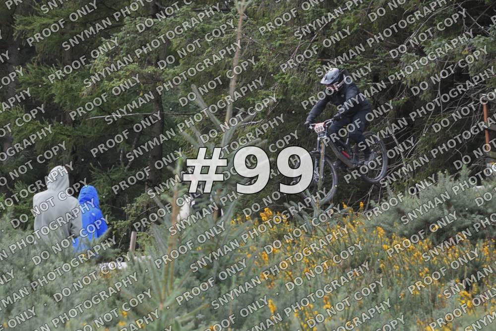 99 (1)