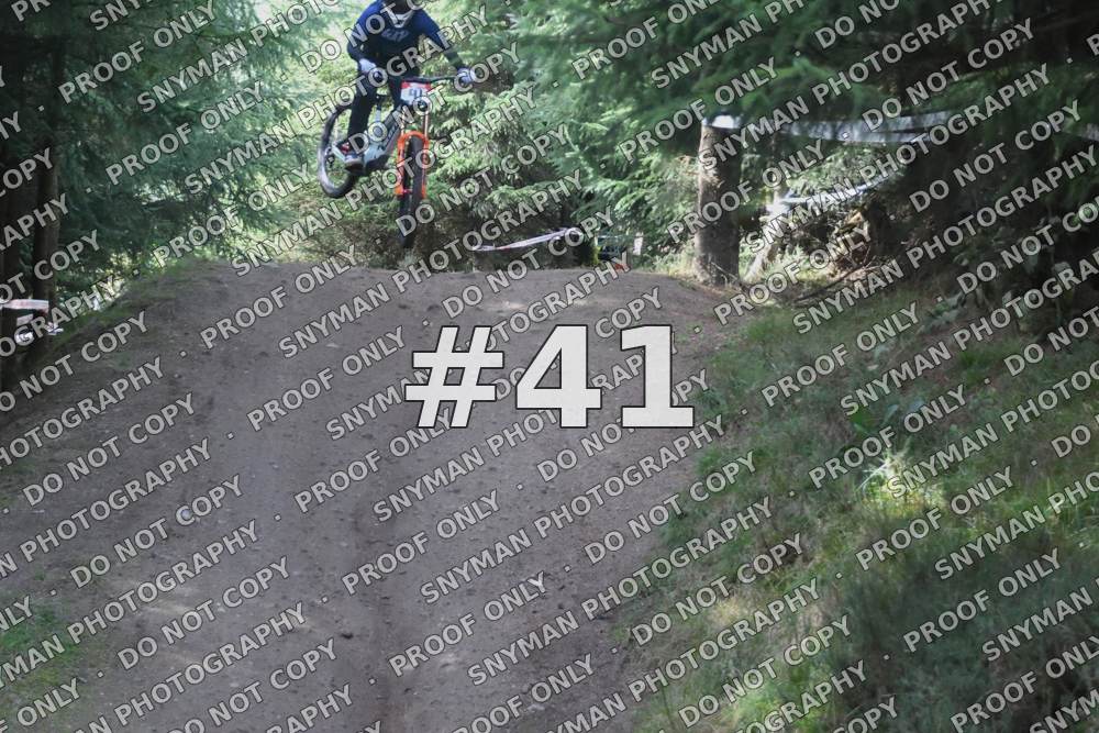 41