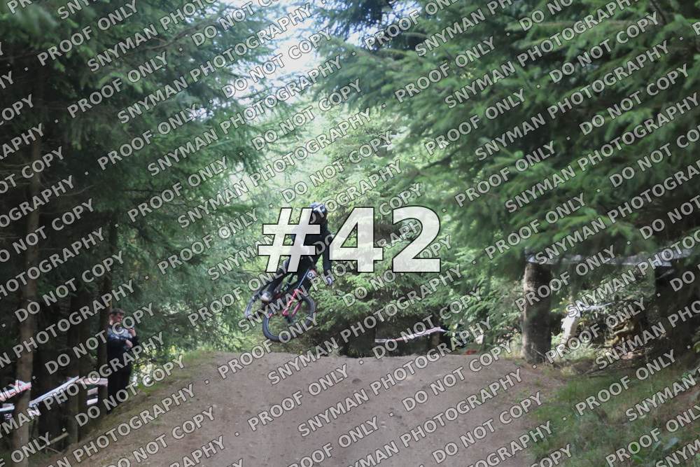 42 (5)