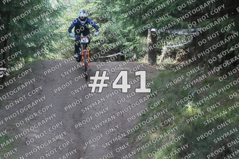 41 (2)