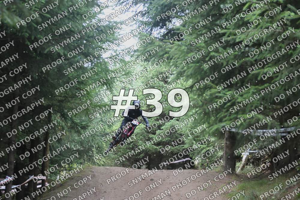 39 (6)