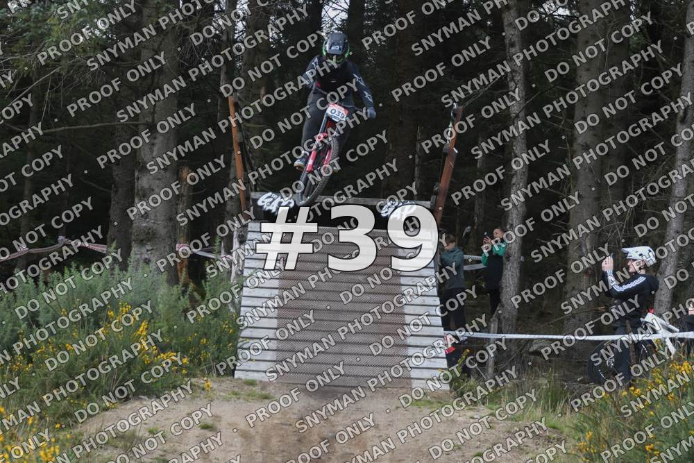 39 (3)