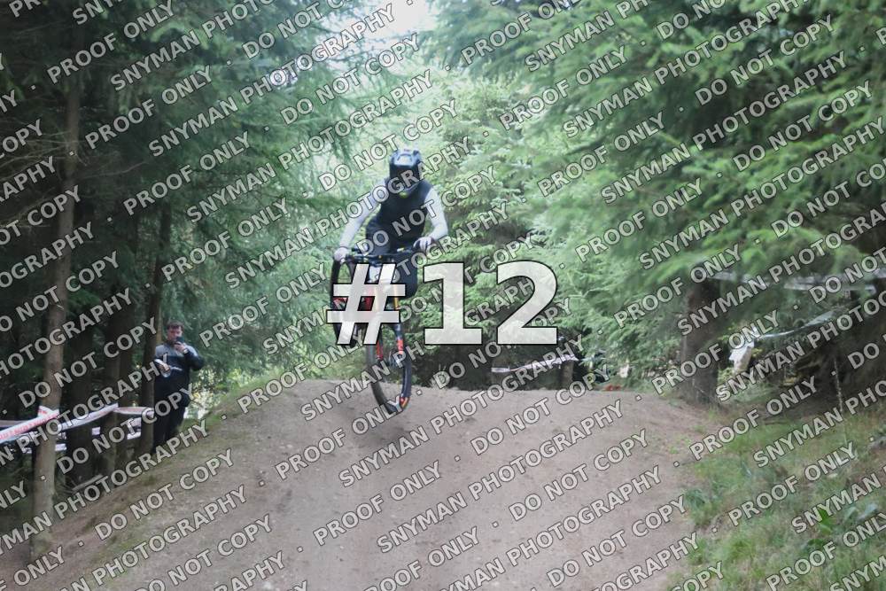 12 (1)