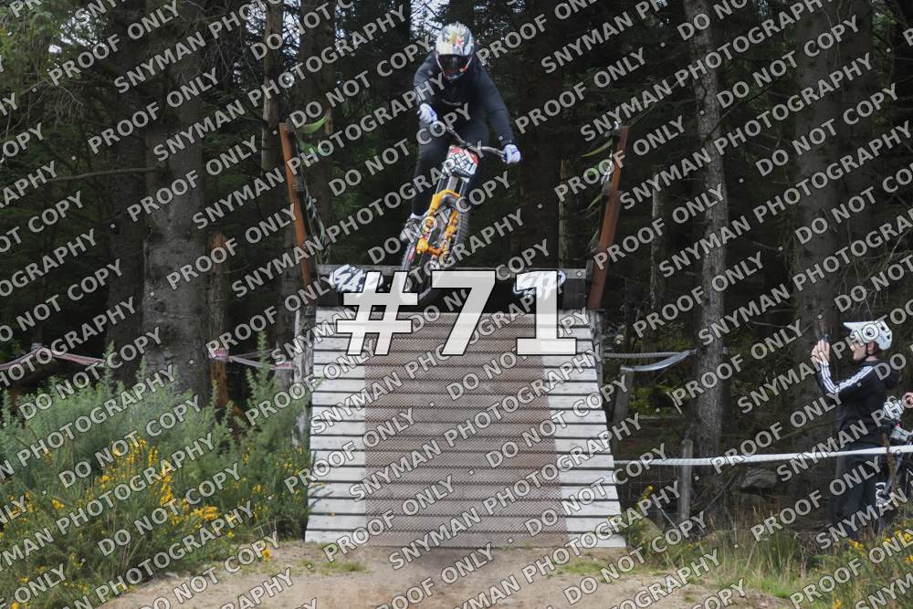 71 (3)