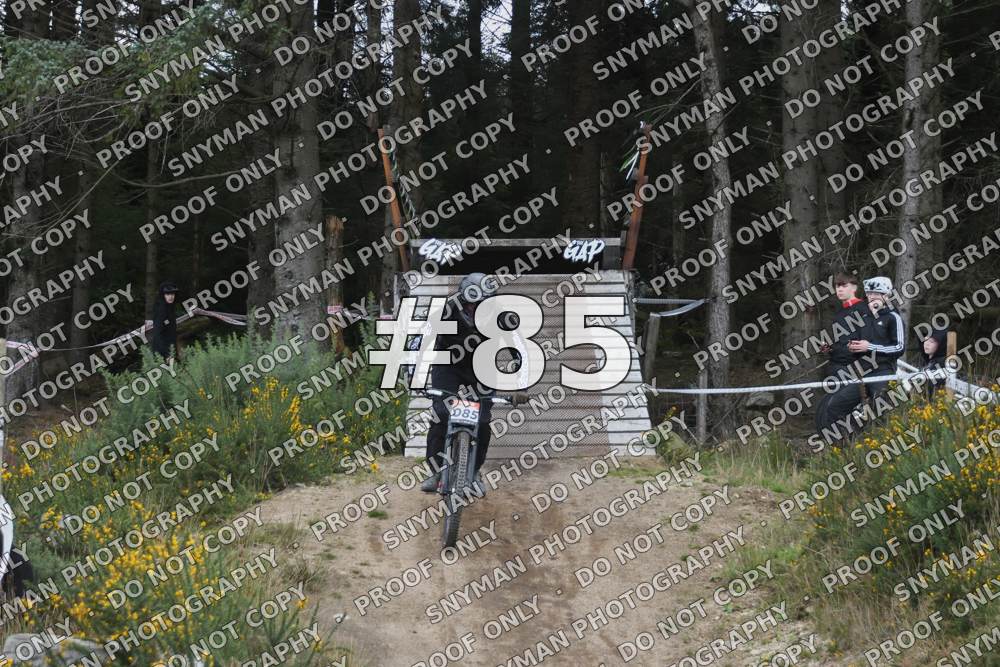 85 (1)