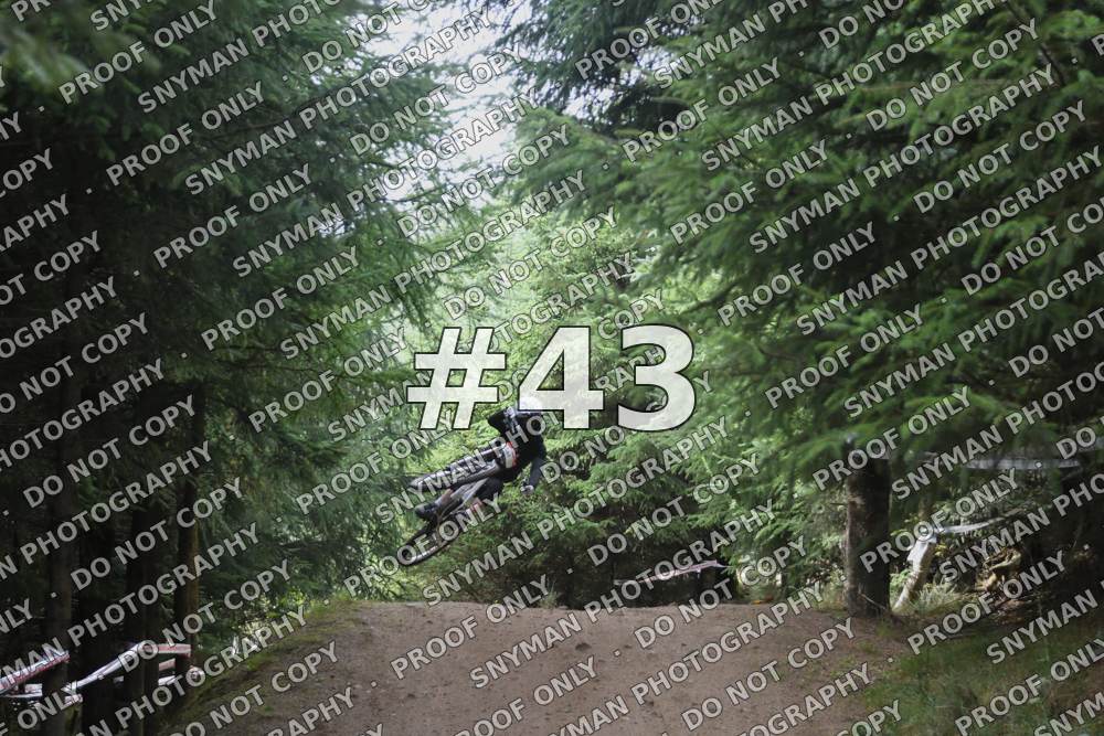 43 (2)