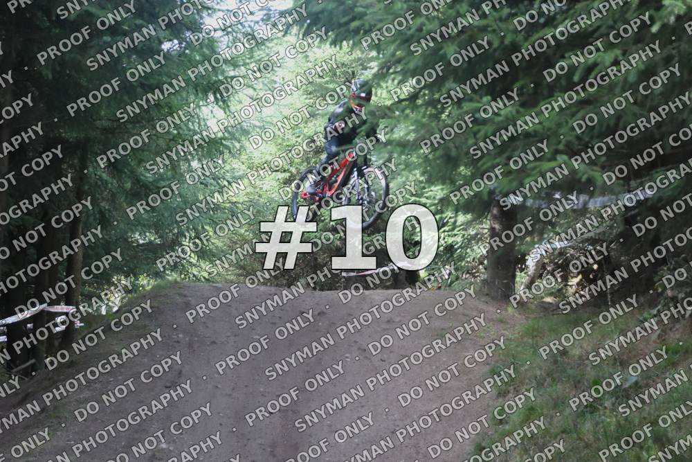 10 (2)