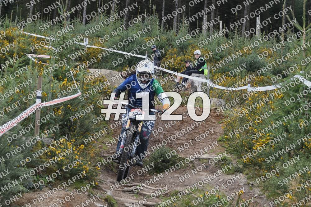 120 (7)