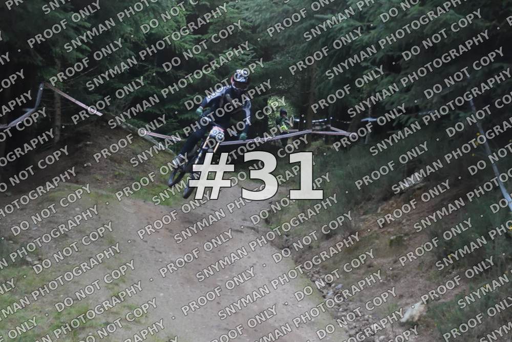 31 (1)