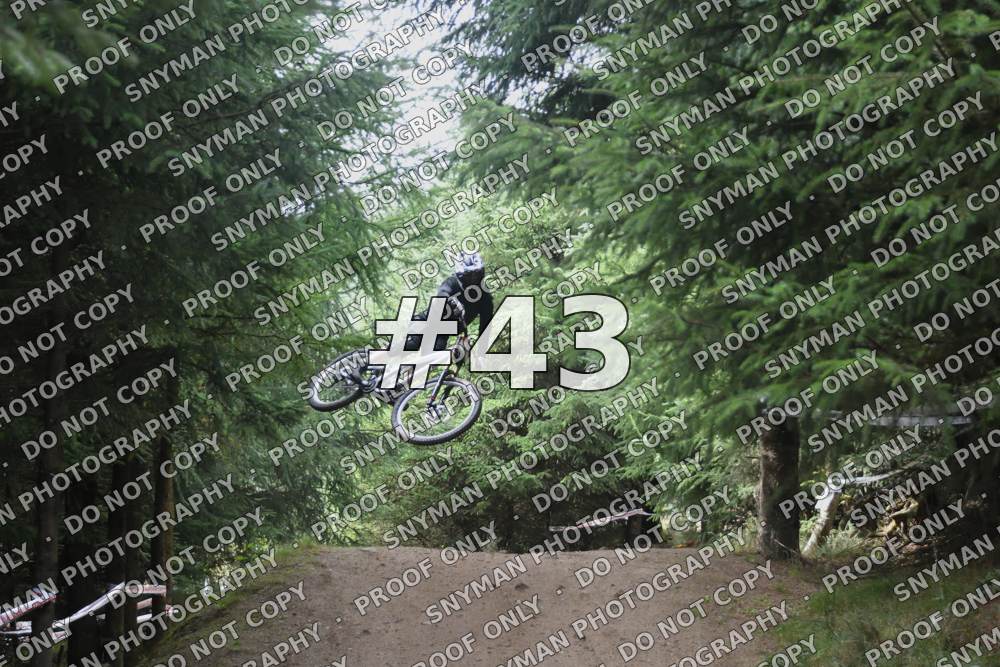 43 (4)