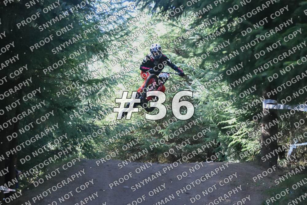 36,