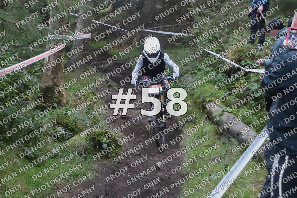 58 (3)
