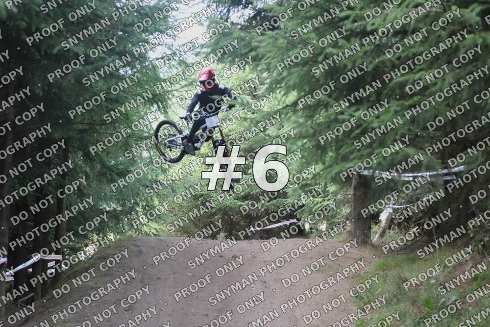 6 (3)