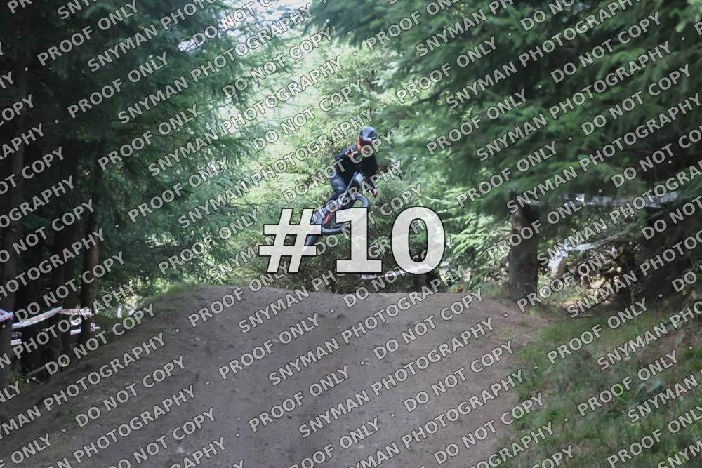10 (3)