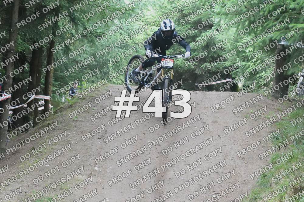 43