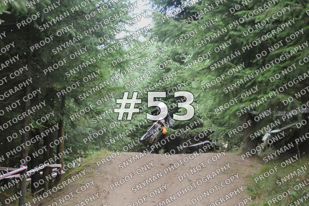 53 (1)
