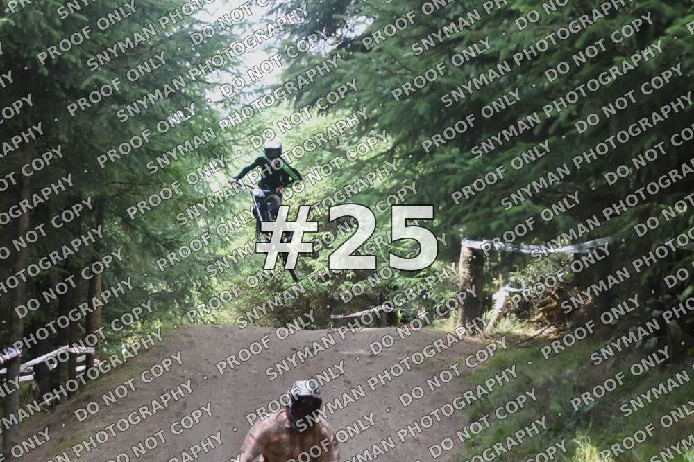 25 (6)